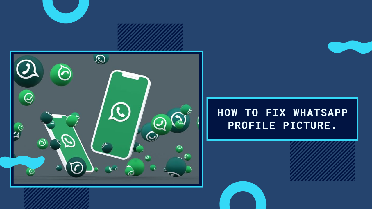 Best Steps for How to Fix WhatsApp Profile Picture Blurry 2024 Tek Shekar